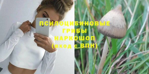 амф Кукмор