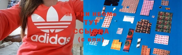 индика Лабытнанги