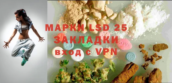 индика Лабытнанги