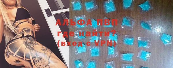 индика Лабытнанги