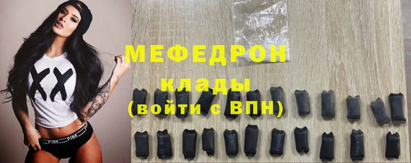 индика Лабытнанги