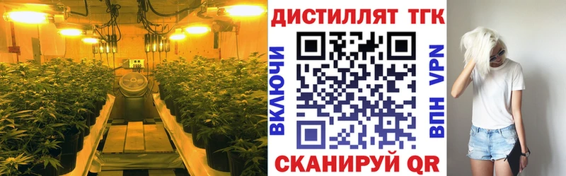 ТГК концентрат  Чекалин 